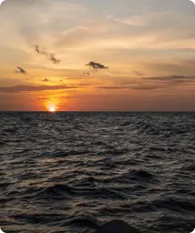 Image by drahmawati@wcs.org (Ditta)/ sfadela@wcs.org (Sheyka)