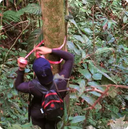 Image by wcsmalaysia@wcs.org