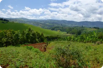 Image by ddetoeuf@wcs.org