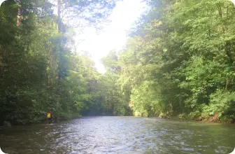 Image by wcsmalaysia@wcs.org