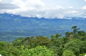 Image by mjdiaz@wcs.org