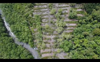 Shark Sanctuary Restoration (8).jpg