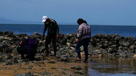 WhatsApp Image 2022-09-29 at 10.52.16 AM.jpeg