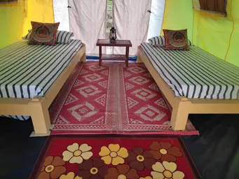 468103874 613544167664815 4417932393665090857 N