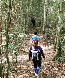 Image by wcsmalaysia@wcs.org