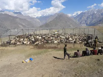 Whats App Image 2025 09 10 at 11.58.09 Am