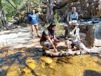 Analysing Water Quality in a Mountain Stream