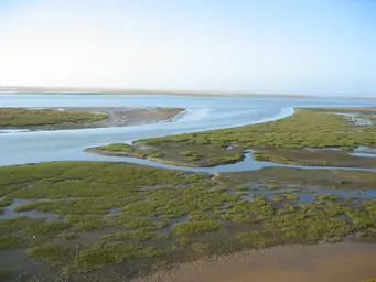 photos khnifiss (9).JPG