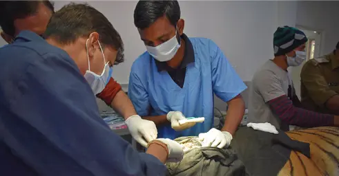 Page60 Prashant Dsc 0535 Wct