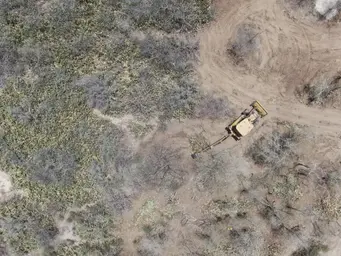 2022_RSFG_Dessouchage 2022 (11).JPG