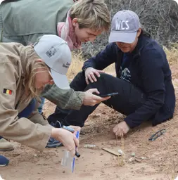 Image by wcsparaguay@wcs.org