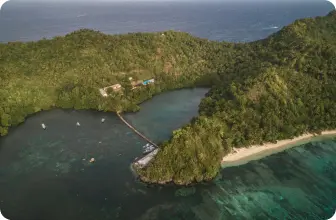 Image by Contact : drahmawati@wcs.org (Ditta)/ sfadela@wcs.org (Sheyka)