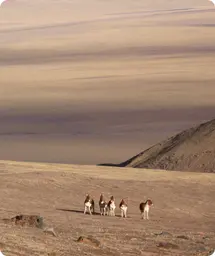 Image by rockylxc@hotmail.com