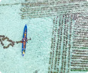 Image by bafsvensson@gmail.com