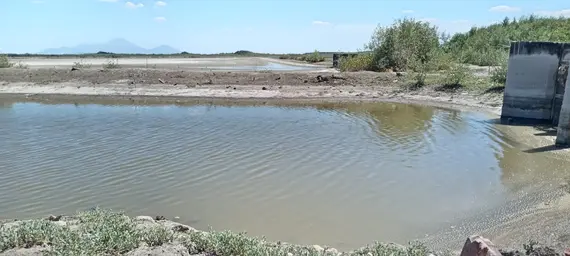 Laguna Berberia 2023