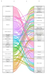 Conventional farms plant-insect network .jpeg