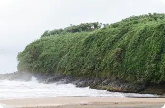 Image by fsantos@wcs.org