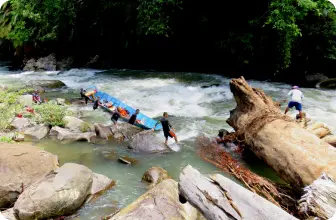 Image by wcsmalaysia@wcs.org