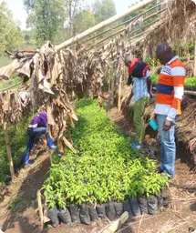 Image by fkavuba@wcs.org