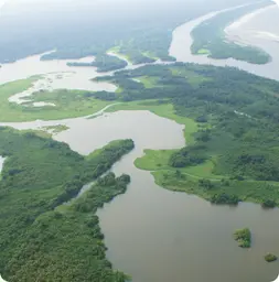 Image by escott@wcs.org