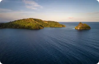 Image by drahmawati@wcs.org (Ditta)/ sfadela@wcs.org (Sheyka)