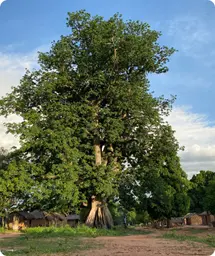 Image by Photo © Ana Yi/WCS.