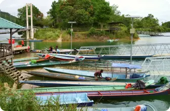 Image by wcsmalaysia@wcs.org