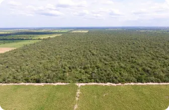 Image by wcsparaguay@wcs.org