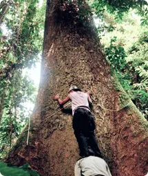 Image by mlubis@wcs.org