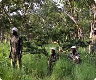 Image by aboveda@wcs.org