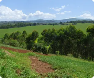 Image by ddetoeuf@wcs.org