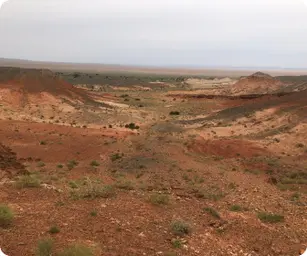 Image by bariunbaatar@wcs.org