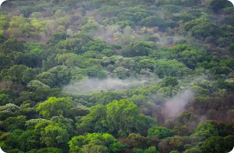 Image by aboveda@wcs.org