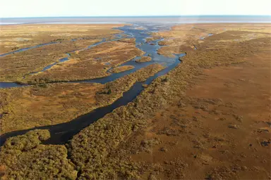 Peatlands, Hudson Bay Lowlands