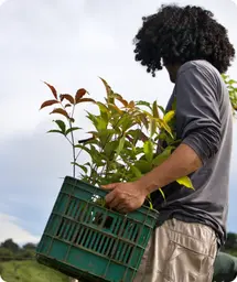 Image by mjdiaz@wcs.org