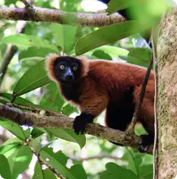 Image by akirkby@wcs.org