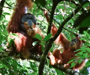 Image by Martin Gilbert