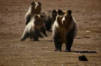 Image by rockylxc@hotmail.com