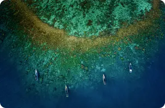 Image by Contact : starigan@wcs.org (Sukma)/ drahmawati@wcs.org (Ditta)/ rrimayanti@wcs.org (Ratih)