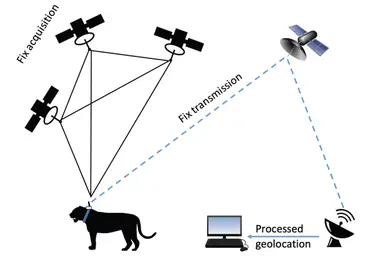 Satellite Telemetry Fixed Transmission Wct
