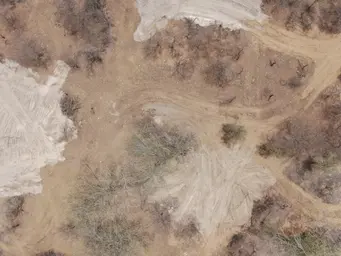 2022_RSFG_Dessouchage 2022 (9).JPG