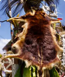 Image by lolamya@hotmail.com