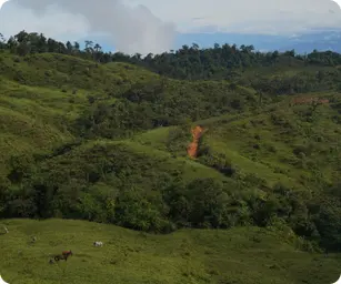 Image by cnovelo@wcs.org