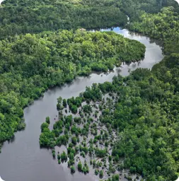 Image by bafsvensson@gmail.com