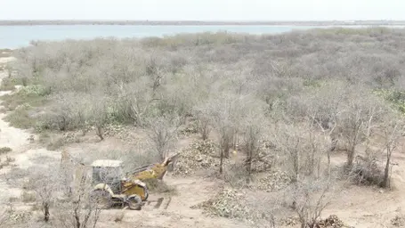 2022_RSFG_Dessouchage 2022 (14).jpg