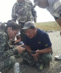 Image by bnarangua@wcs.org