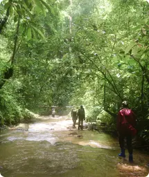 Image by dlety@wcs.org