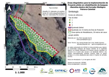 mapa area reforestada FINAL.jpeg