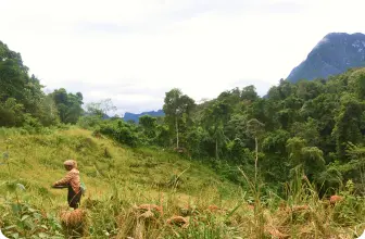 Image by dlety@wcs.org