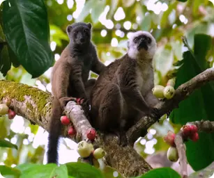 Image by akirkby@wcs.org